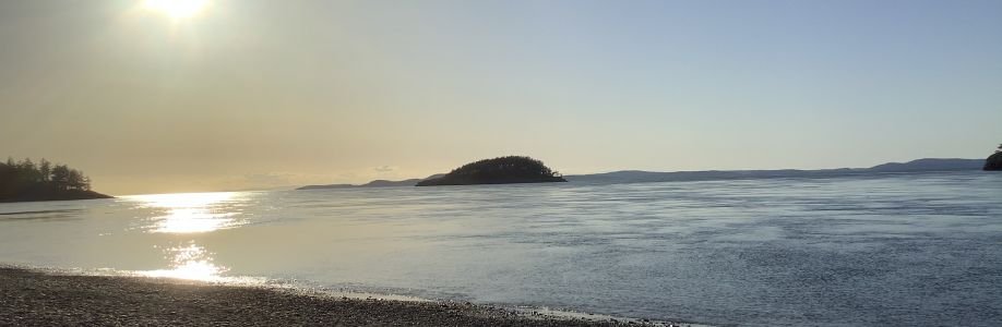 Joy Chibuzo Cover Image