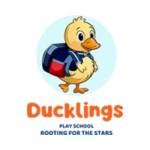 duckling play school Profile Picture