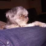 Wendy Hill Profile Picture